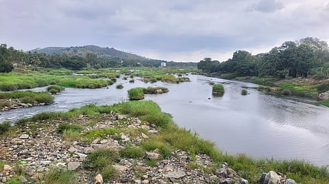 Driven by poor monsoon, water level has dipped in the Cauvery river near Srirangapatna.