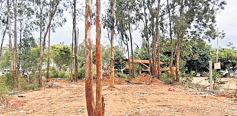 The 5-acre land in question at Bettahalasur Gram Panchayat on Bengaluru outskirts