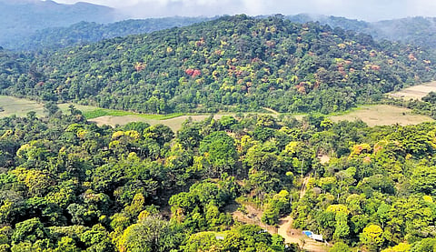 Faced with this reality, co-founders Abhishek Jain and Nishanth Prasannan held extensive discussions with fellow conservationists to explore how they could meaningfully intervene.