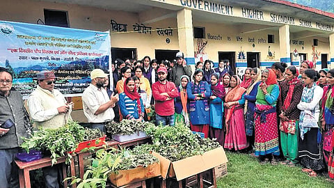 Uttarakhand teacher blends Garhwali poetry, science and social media to transform learning