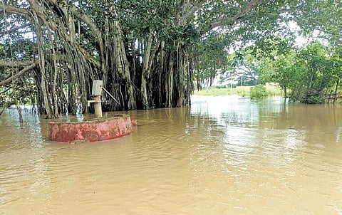 A submerged tube well in Srirampur village under Pattamundai block.
