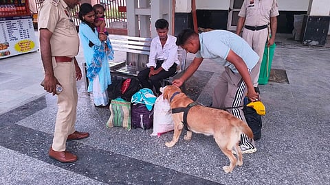 Built through months of rigorous training and operational experience, the bond between the handlers and the dogs has become one of Haryana Police's most potent weapons.