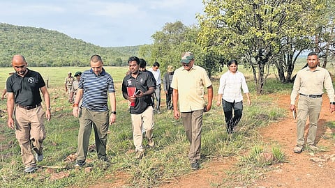 The committee headed by P Mallikarjuna Rao, Advisor to the AP forest department, ruled out any foul play or poaching, providing a major breakthrough in the investigation into the suspected tiger death.