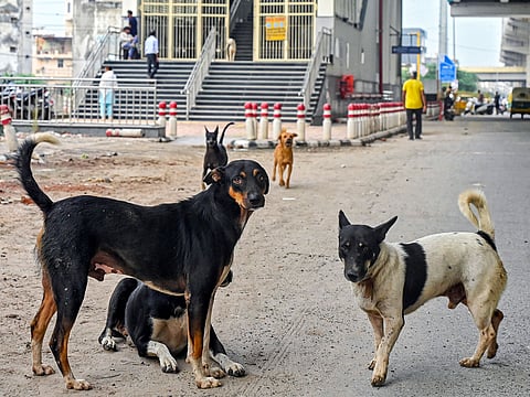 The Greater Chennai corporation’s model is ideal