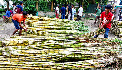 Vendors arrange sugarcane stalks for sale at the Machkhowa wholesale market on the banks of the Brahmaputra river, in Guwahati, Tuesday, Aug. 25, 2026.