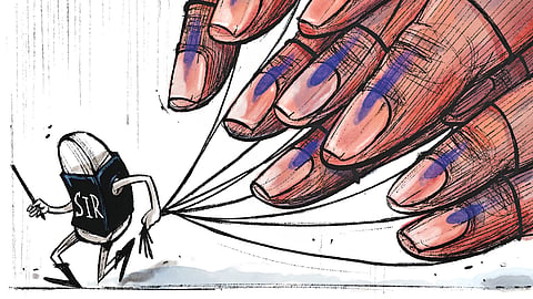Presumably, the massive restoration of 91 percent of the deleted names may have impacted the overall result of the West Bengal Assembly elections