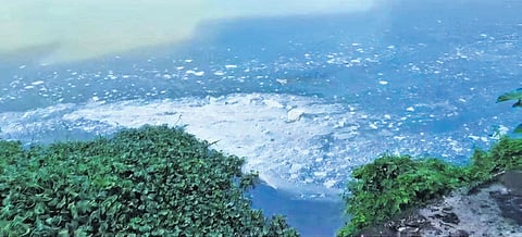 Froth and foam in the Periyar near Pathalam regulator-cum-bridge on Tuesday
