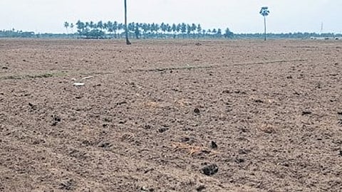 AP sees 1,263% rise in non-loanee crop insurance.