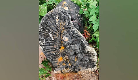 An idol of Mammai Devi, likely from the Kakatiya period