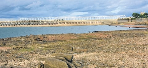 Between 1924 and 1974, Karnataka released around 600 tmcft of Cauvery water annually to Tamil Nadu, while utilising less than 137 tmcft for itself.