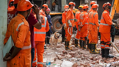 National Disaster Response Force (NDRF) personnel along with a sniffer dog during rescue operations following the collapse of a multi-storey building housing a PG, at Satya Niketan, in New Delhi, Monday, Sept. 7, 2026.