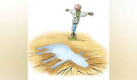 According to data accessed by TNIE, 29 of Telangana’s 33 districts received below-normal rainfall during August, while only four — Kamareddy, Medak, Rajanna Sircilla and Siddipet — recorded rainfall within the normal range.