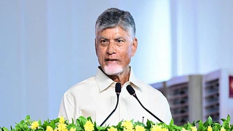 Andhra Pradesh Chief Minister N. Chandrababu Naidu.