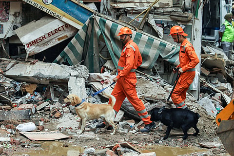 The probe is also focusing on the work being carried out inside the building before it collapsed on Sunday.