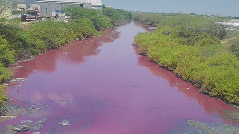 The discolouration of Periyapallam Odai is likely due to the release of antibacterial agent sodium sulphite without being treated