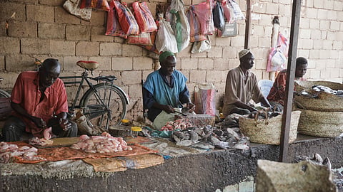 Fish vendors clean fish at a market in Khartoum, Sudan, Tuesday, Sept. 8, 2026.