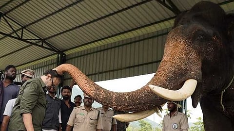 APGEC chief visits Elephant Holding Area at Gutchimi in Seethanagaram mandal.
