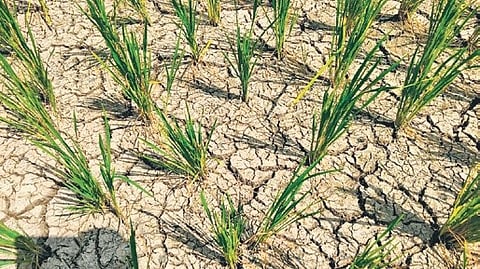 Image used for representational purposes only.