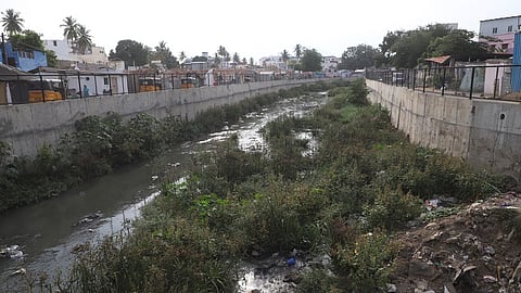 Sanganoor Canal rejuvenation project in Coimbatore dropped.