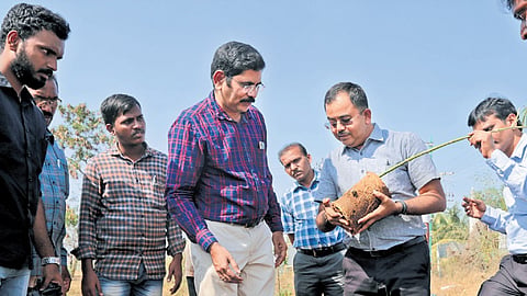 TR Sivaram, founder of Vetry, and volunteers planting saplings in one of their drives