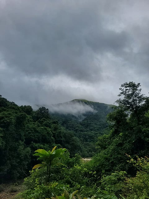 The Gadgil panel had recommended declaring the entire 1,29,037 sq km of Western Ghats as an ecologically sensitive region.