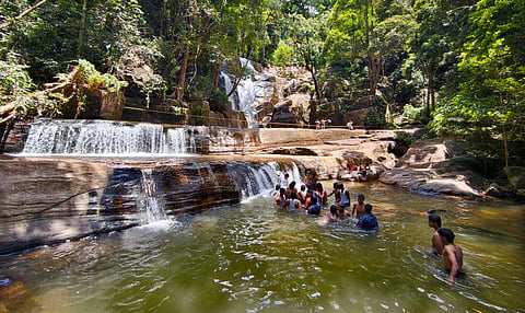Vazhvanthol: A forest trail worth the climb