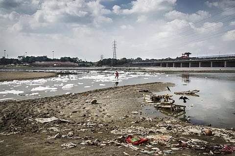 The research, led by Professor Dinabandhu Sahoo of the Department of Botany, examined commonly consumed vegetables grown using untreated Yamuna wastewater.