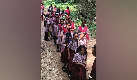 For a group of schoolgirls, Saturday turned into a memorable day of adventure, learning and discovery as they stepped away from their classrooms and into the wilderness of the Puligundala Eco-Tourism Project as part of World Tourism Day celebrations.