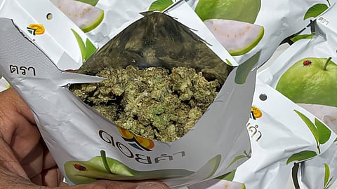 The packets contained 30 small printed packets labelled as ‘dehydrated guava’. However, customs officials discovered a green-coloured substance concealed inside them.