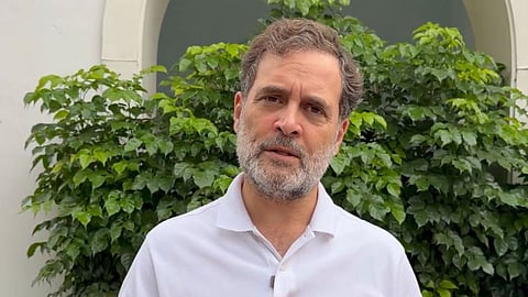 Rahul Gandhi launches 'Satyagraha' platform to map protests across India, urges citizens to submit stories of fighting "injustice"