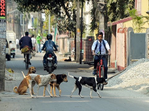 Image used for representational purpose.