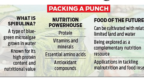 The partnership is part of IIMSAM’s broader Malnutrition Accelerator Initiative, which is being developed to examine the potential role of spirulina as a complementary nutritional resource for nutrition, food security, sustainable agriculture and rural development.