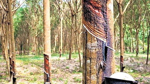 Over the past month, 1,256 women have undergone training.