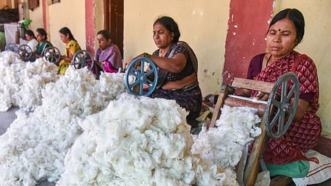 The study, titled "Unauthorized Cultivation of HTBt Cotton in India: Extent, Drivers & Implications," found that 98.2% of field samples carried at least one genetically modified trait.