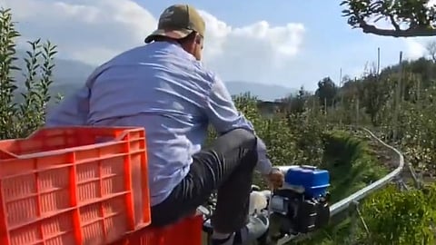 The petrol-powered systems run on tracks laid along slopes in orchards and can operate on gradients of up to 45 degrees.