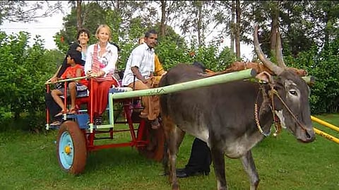 Designed to decentralise tourism revenue, the policy encourages families in rural, tribal, and eco-sensitive areas to convert parts of their residences into home stays.