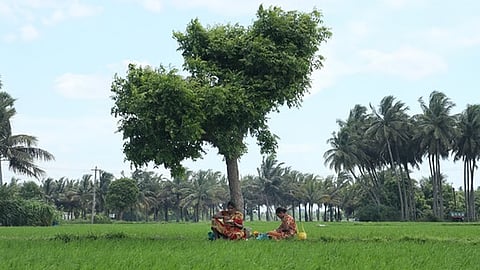 Image used for representational purpose only.