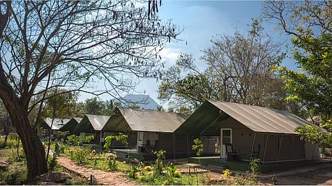 The campsite offers accommodation for two adults and a child at Rs 6,000 per tent.