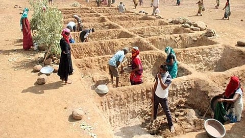 The minister said under the VB-G RAM G scheme, each household is eligible for 125 days of employment a year and with a daily wage of Rs 382 for both men and women, this enables each rural household to earn up to Rs 47,750 annually.