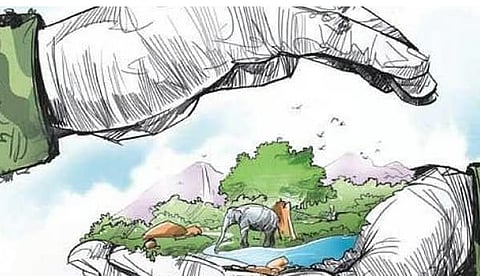 The officials also discussed sharing intelligence on wildlife poaching, particularly cases involving the illegal hunting of elephants for their tusks and big cats for their skins.