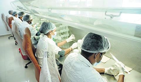 Tissue culture saplings being grown in the lab at Chungathara Service Cooperative Bank