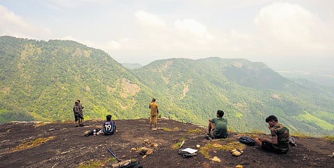 Volunteers during the survey