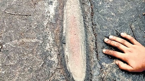 One of the four rock grooves of possible prehistoric identified in Mrugavani National Park at Chilkur.