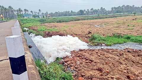 Thick foam was seen near the Marapattu causeway in Ambur due to alleged illegal effluent discharge from tanneries