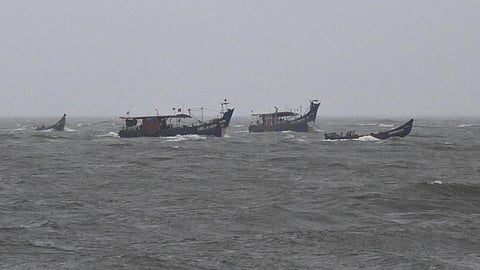 According to fishermen, there has been significant recruitment of juvenile sardine along the Keralam coast this year. However, both traditional fishermen and trawlers are catching the fish indiscriminately.