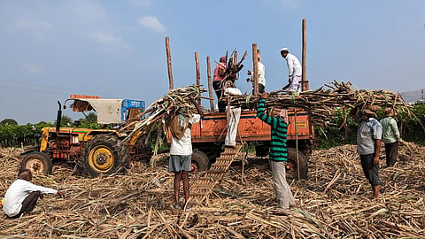 According to Indian Sugar and Bio-Energy Manufacturers Association (ISMA), , sugar production had reached around 400,000 tonnes as of October 25, 2026, compared with about 60,000 tonnes on the same date last year.