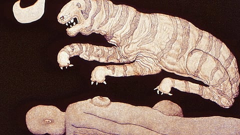 Tiger in the Moonlit Night (1978/1979)