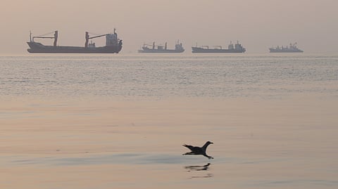 A bird flies low over the water as cargo ships lie at anchor in the Strait of Hormuz off Bandar Abbas, Iran, early Saturday, Oct. 24, 2026.