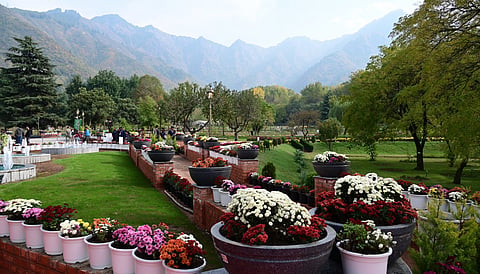 Bagh-e-Gul-e-Dawood was introduced to create distinctive floral attractions to mark the beginning of every new season.