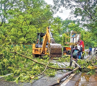 Fire services personnel clear uprooted trees from NH-16 service road, in Bhubaneswar on Wednesday